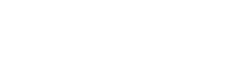SALVAS Logo
